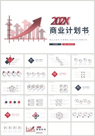 红蓝色通用融资商业计划书PPT