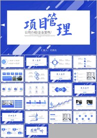 简约风项目管理课件ppt