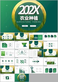 农业汇报农业生产水稻种植ppt