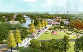 森林公园活动草坪