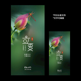 二十四节气立夏