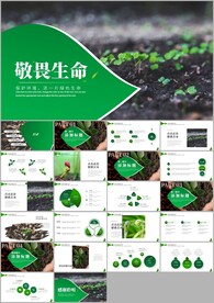 唯美植物生长敬畏生命植物ppt