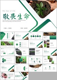 敬畏生命植物生长发芽环保ppt