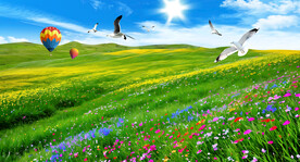 蓝天白云草地野花