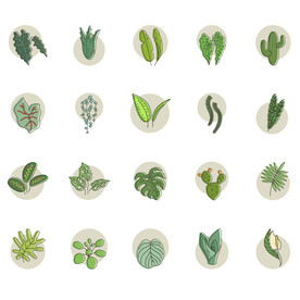 手绘家居绿植ICON