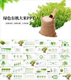 水稻五常绿色有机大米PPT