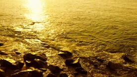 大海海边波澜日出风光4K航拍