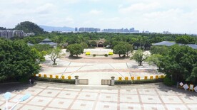 江门新会区小鸟天堂景点旅游风光