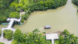 江门新会区小鸟天堂景点旅游风光
