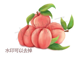 桃子手绘