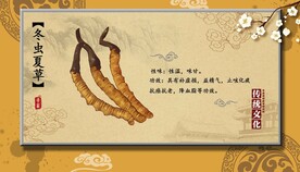冬虫夏草