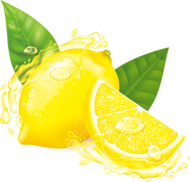 矢量水果柠檬