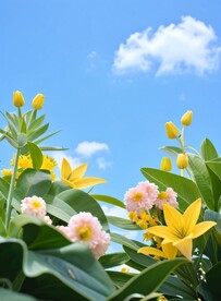 淘宝电商海报详情页背景图