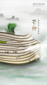 中国风芒种节气海报