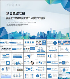 项目工作总结汇报ppt