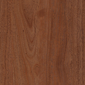 棕红 高端木纹大图 TIf合层