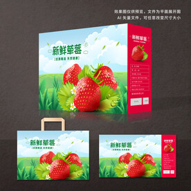 草莓包装