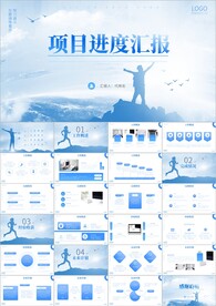 简约项目工作总结PPT