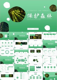 环保森林湿地环境保护ppt