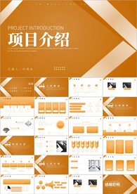 项目汇报介绍工作总结ppt