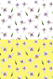 巴西鸢尾花四方连续底纹