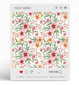花朵花卉花纹