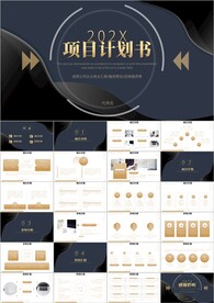 产品项目招商融资计划书ppt