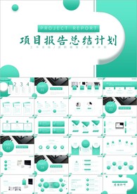 商务项目工作总结ppt