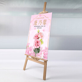 康乃馨(源文件不带效果图)