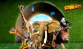 动物乐园