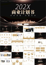 商务公司介绍计划书ppt