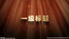 撒光大气稳重文字标题动画