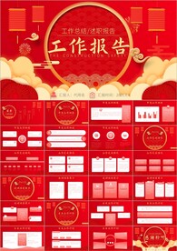 商务项目报告项目总结ppt