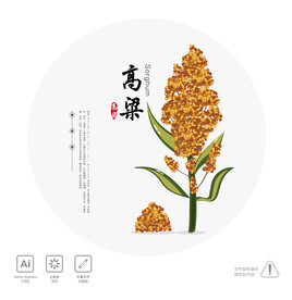 高粱插画