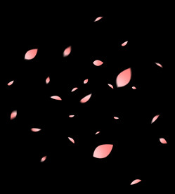 飘落樱花桃花装饰花瓣漂浮元素