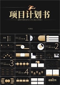 黑金项目商业计划书ppt