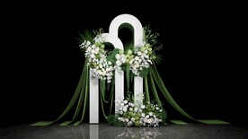 白绿婚礼su模型