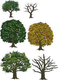 卡通树木矢量图