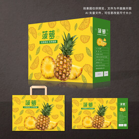 菠萝包装