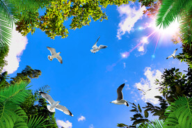 蓝天白云软膜天花吊顶