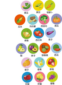 水果 蔬菜 矢量图
