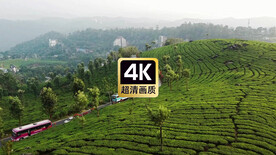 山间公路上穿梭的车流