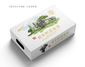 高档葡萄包装