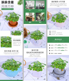 含羞草电商详情页