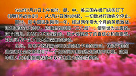 红杜鹃 朗诵 舞台大屏背景视频