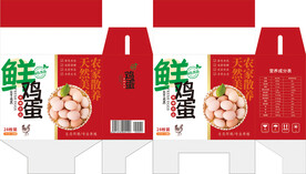 鸡蛋包装盒