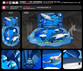 鲨鱼立体画