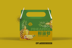 菠萝包装 平面图