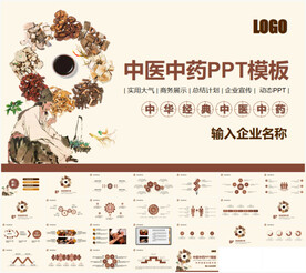 中医中药文化宣传教育总结PPT