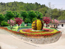 乡村节点绿化效果图